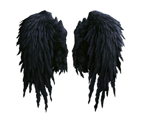 black angel wings png